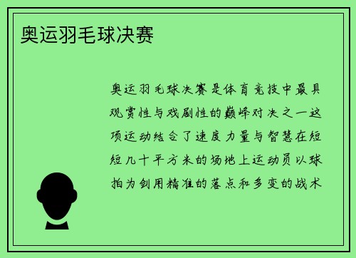 奥运羽毛球决赛