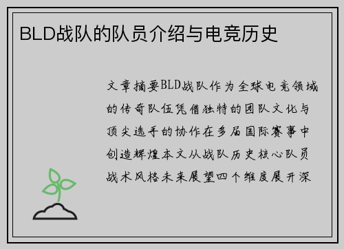 BLD战队的队员介绍与电竞历史
