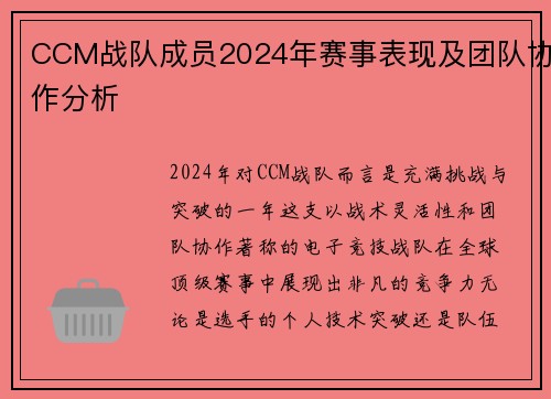 CCM战队成员2024年赛事表现及团队协作分析